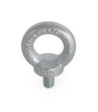 LD Systems Eyebolt Galvanised M10 x 17 mm DIN 580