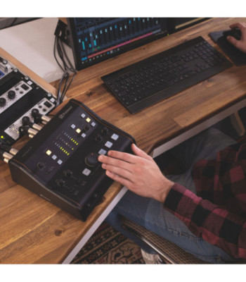 Palmer Active Studio Monitor Controller