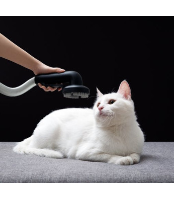 Roidmi RS60 Silver - Stickvac