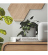 Nanoleaf Elements Hexagons Starter Kit 7PK