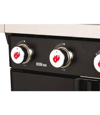 Landmann Rexon 4.1 PTS cooK Modulus - Grill