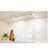 Witt WS958W-3 - Loftintegreret emhætte