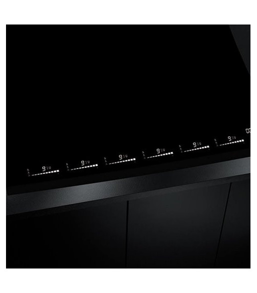 Eico 5728 60 IQWF - Link-2 - Induktionskogeplade