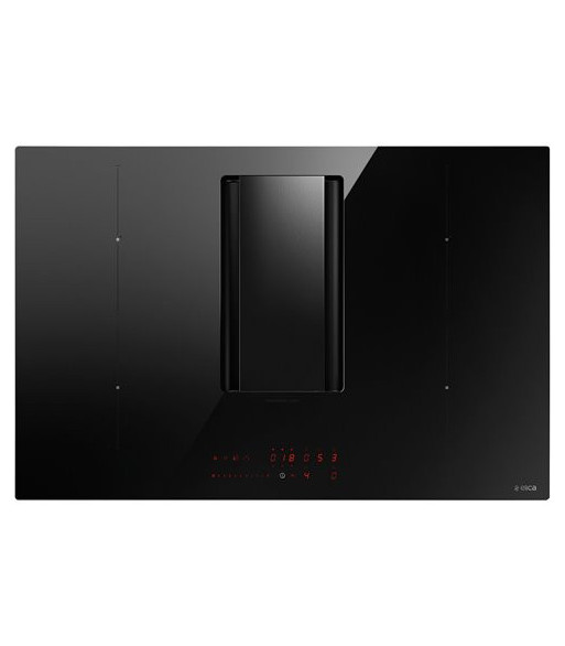 Eico 5005 NikolaTesla Alpha BL/A/78 - Induktionskogeplade me