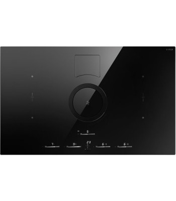 Eico 5027 NikolaTesla Switch Glow BL/F/83 - Induktionskogepl