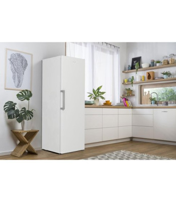 Gorenje R619EEW5 - Fritstående køleskab
