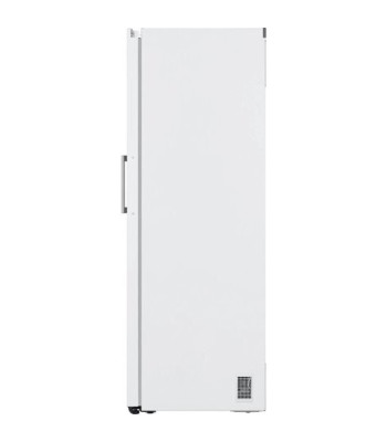 LG GLT51SWGSZ - Fritstående køleskab