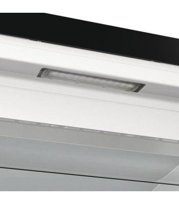 Gorenje FN619EABK6 - Fritstående fryseskab