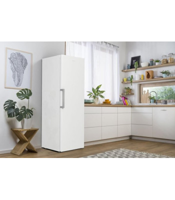 Gorenje FN619EEW5 - Fritstående fryseskab