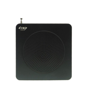 Tiny Audio Travel - Sort