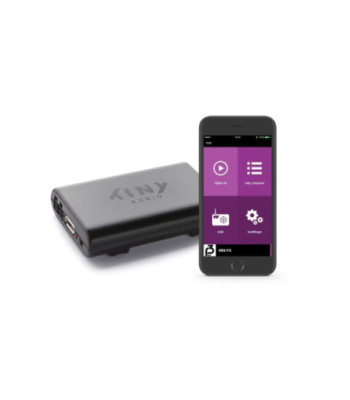Tiny Audio C-Smart