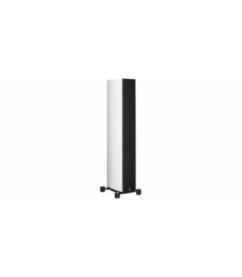 System Audio legend 60 silverback