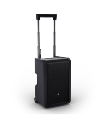 LD Systems ANNY® 10 BPH B5