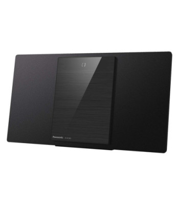 Panasonic SC-HC400 Sort