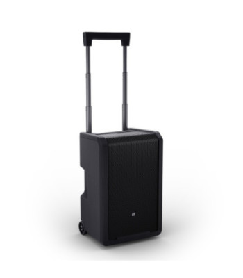 LD Systems ANNY® 10
