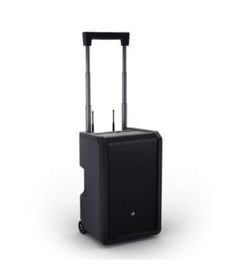 LD Systems ANNY® 10 HHD 2 B6
