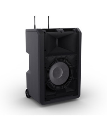 LD Systems ANNY® 10 BPH 2 B6