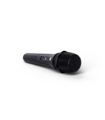 LD Systems ANNY® MD B6