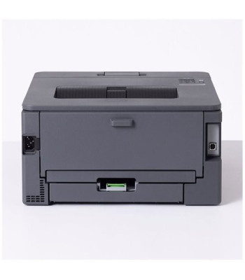 Brother HL-L2400DW - Laserprinter