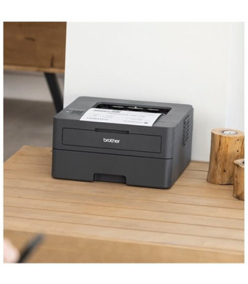 Brother HL-L2400DW - Laserprinter