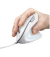 TRUST VERTO ERGO MOUSE - WHITE - Mus