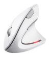 TRUST VERTO WIRELESS ERGO MOUSE - WHITE - Trådløs mus