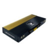 Phoenix Gold Limited Edition Amplifier ZQ9004