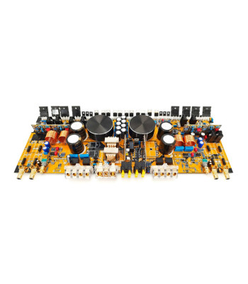 Phoenix Gold Limited Edition Amplifier ZQ9004