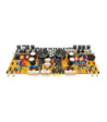 Phoenix Gold Limited Edition Amplifier ZQ9004