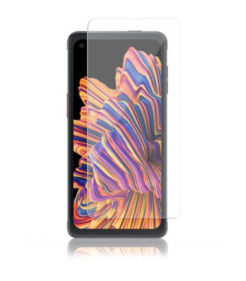 Panzer Samsung Galaxy Xcover Pro