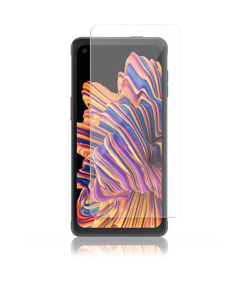Panzer Samsung Galaxy Xcover Pro