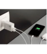 Cellularline 220V Dual Adapter Apple 20W - Adapter