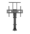 Nedis Motoriseret TV-lift 37'' - 80''