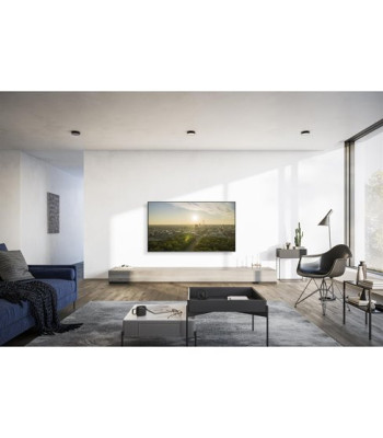 Panasonic TV-65W95AEG - 4K Mini-LED TV