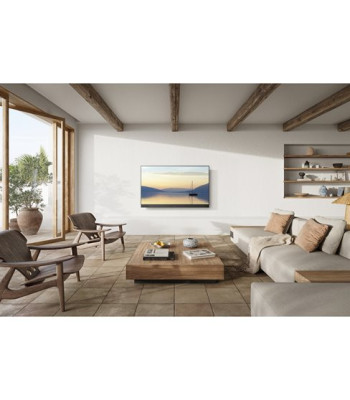 Panasonic TV-65Z90AEG - OLED 4K Smart TV