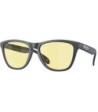 Oakley Frogskins Matte Carbon