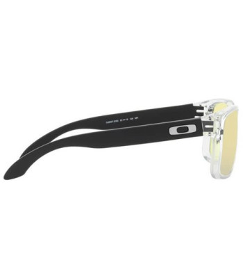 Oakley Holbrook XS Clear