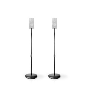 Speaker Mount