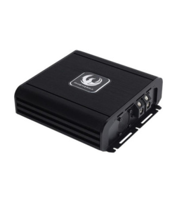 3000W 1 Ohm Full Range Mono Amp