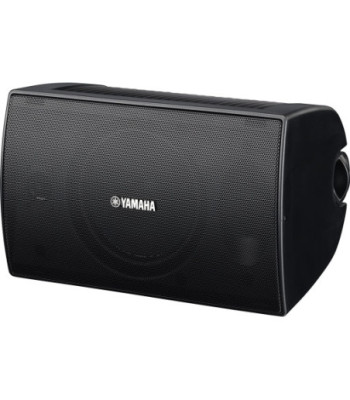 Yamaha NS-AW294