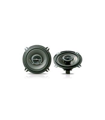 Pioneer TS-1302I