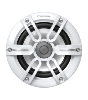 Pioneer TS-ME650FS
