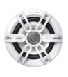 Pioneer TS-ME650FS