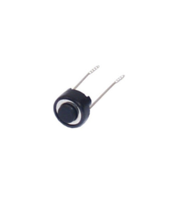 Pioneer DSG1079