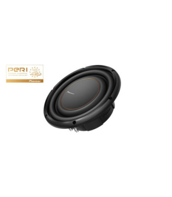 Pioneer TS-D10LS4