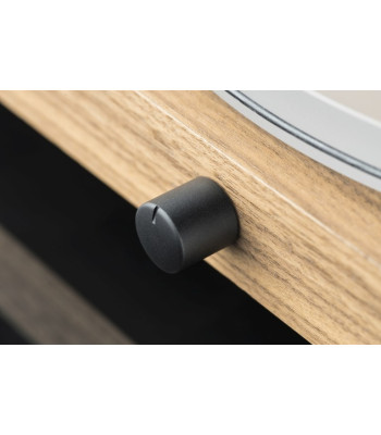 Pro-Ject Set Jukebox S2 + Speaker Box 5 S2 Eucalyptus