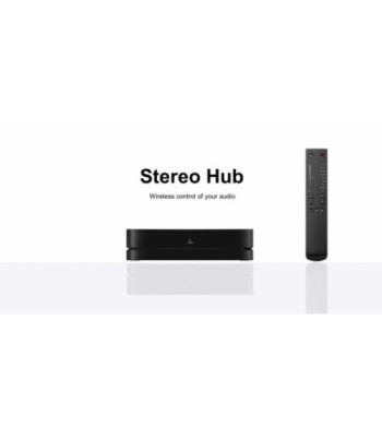 System Audio Stereo Hub