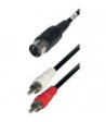 2 X PHONOSTIK / 5 PIN DIN-STIK 1