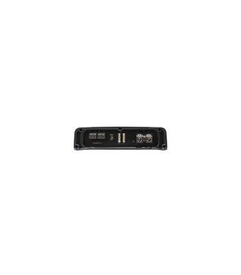 Phoenix Gold RX2 500.1