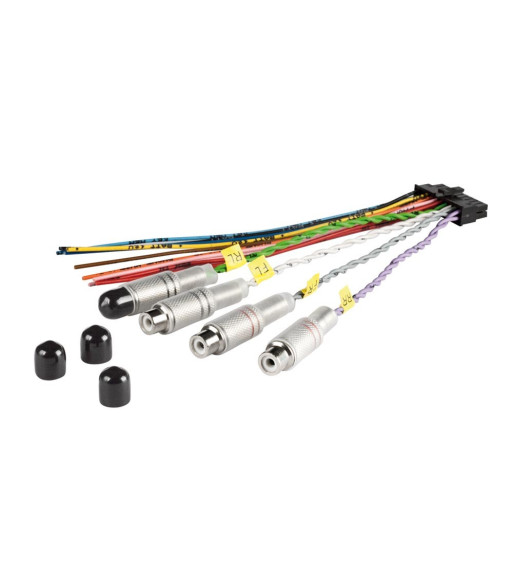 AUDISON RCA BIT TEN ADAPTER